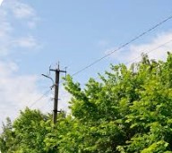 UPOZORNĚNÍ k odstranění a okleštění stromoví a jiných porostů